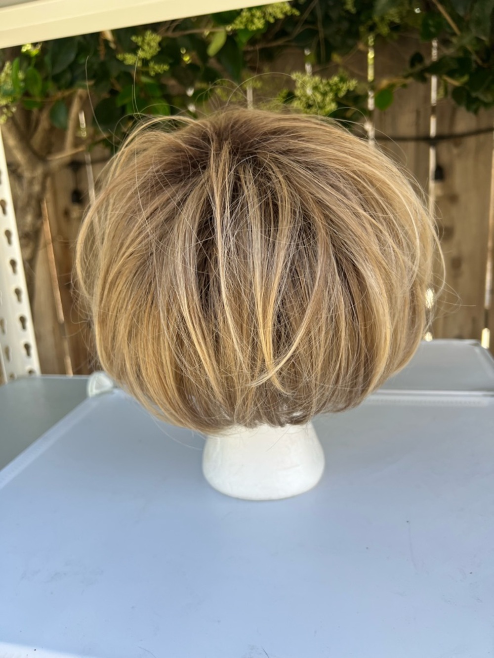 Short Layered Women’s Wig with Bangs in Honey Blonde - Picture 3 of 6